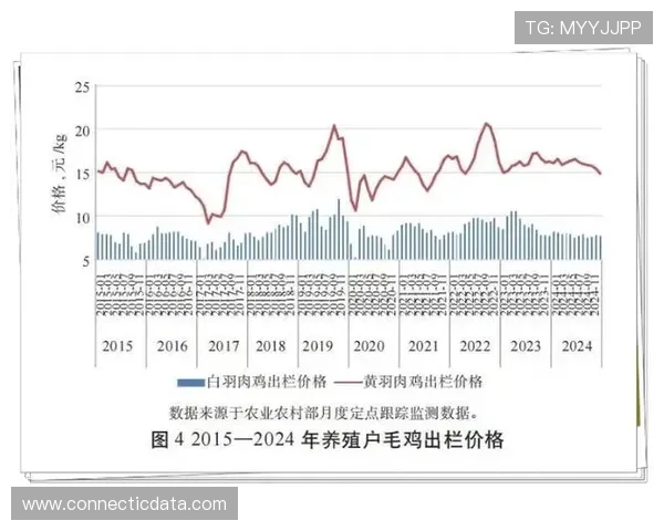 2024年最新百家乐网站评测报告详解各大平台的优势与不足助你轻松找到理想的线上百家乐网站
